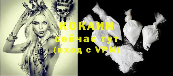 дживик Волоколамск