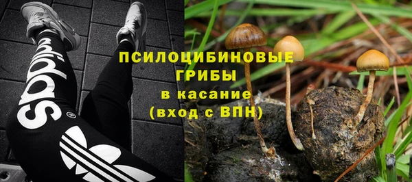 СК Володарск