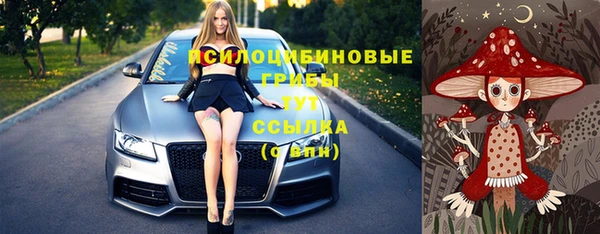 дживик Волоколамск