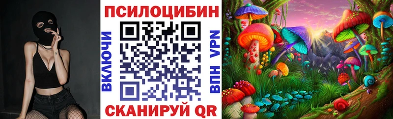 Псилоцибиновые грибы MAGIC MUSHROOMS  Купить закладки  Вышний Волочёк 